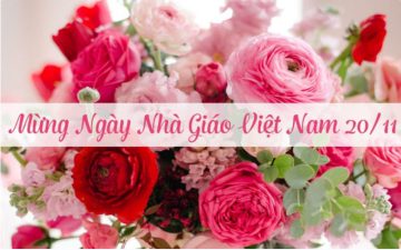 Chúc Mừng Kỷ Niệm 41 Năm Ngày Nhà GIáo Việt Nam 20-11